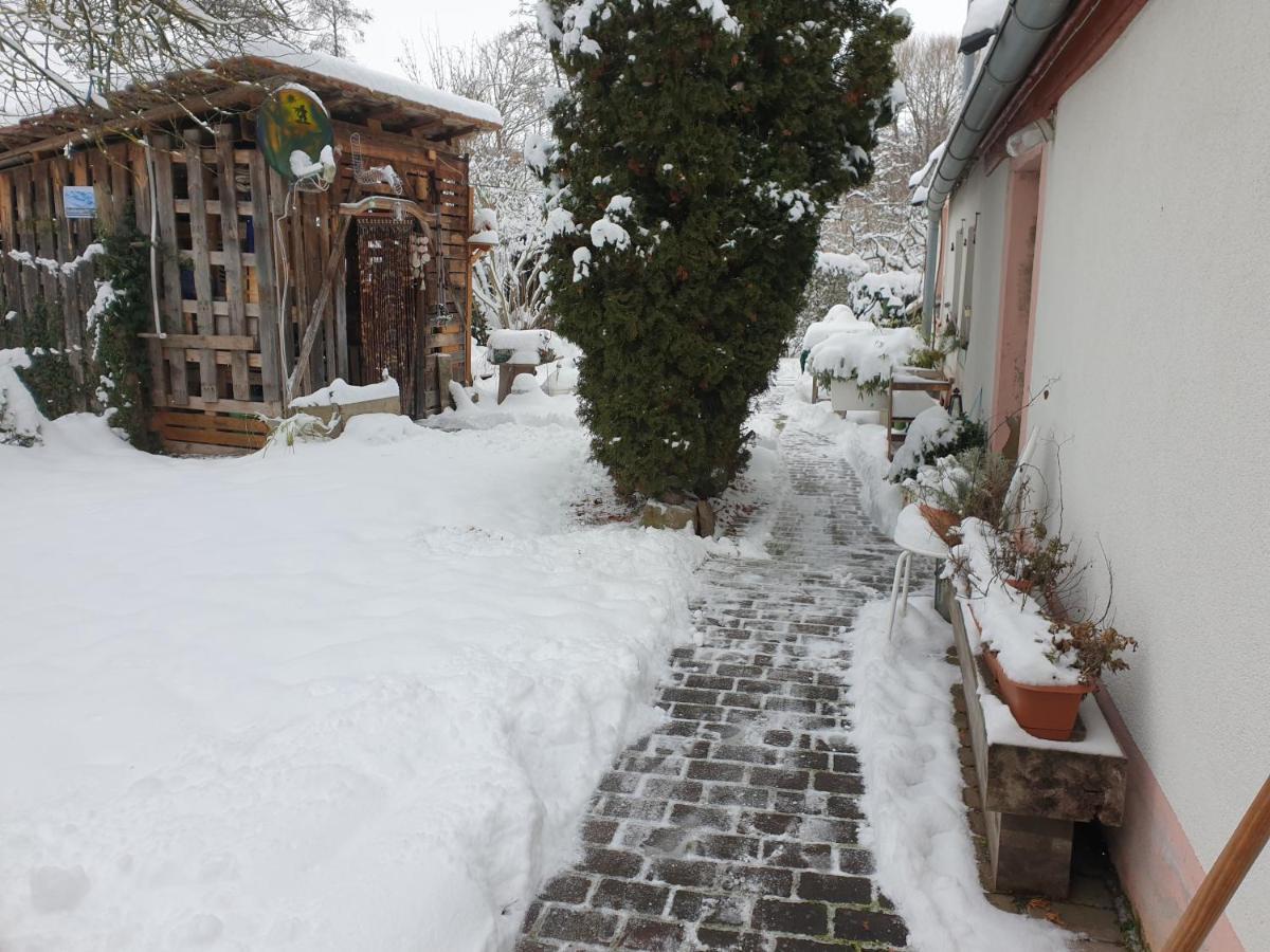 Unser Obervolkacher Ferienhaus-Einfach Gemutlich! Extérieur photo