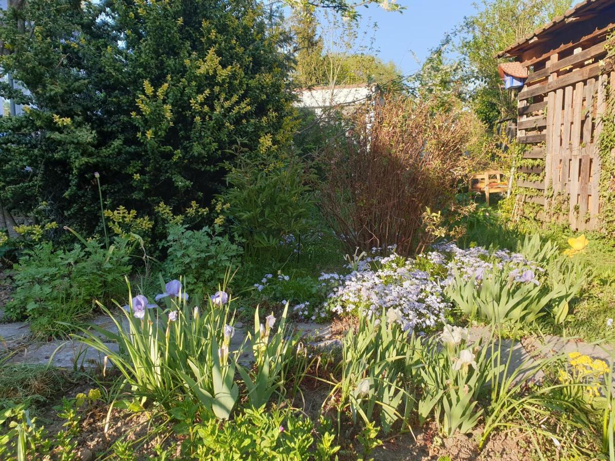 Unser Obervolkacher Ferienhaus-Einfach Gemutlich! Extérieur photo